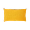 Pigment Decorative Pillow